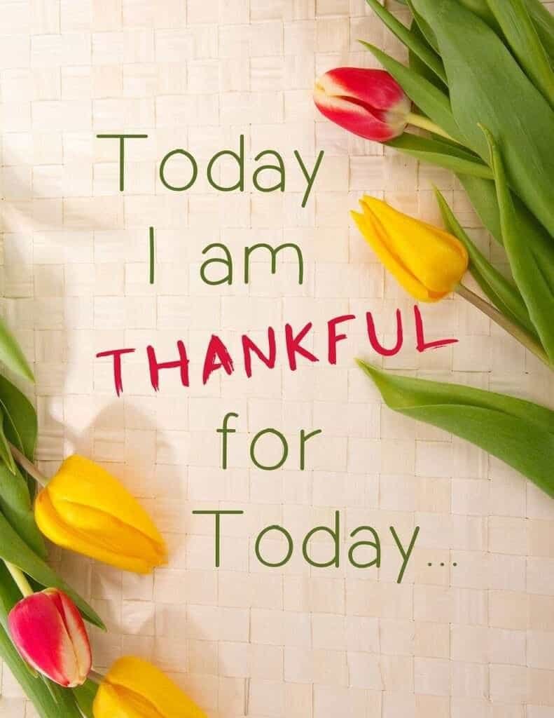 Power Of Manifestation | How To Manifest 6 Thankful for