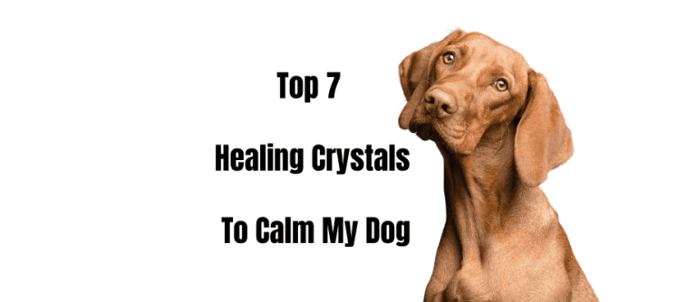 Top 7 Healing Crystals for dogs