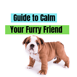 Calm your puppy